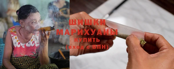 Альфа ПВП Инта