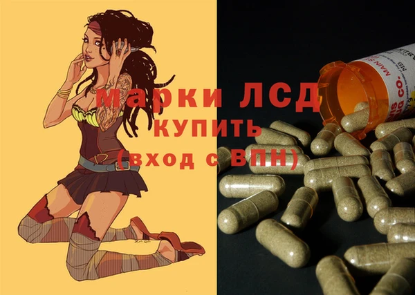 Альфа ПВП Инта