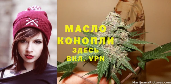 Альфа ПВП Инта