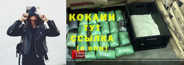 Альфа ПВП Инта