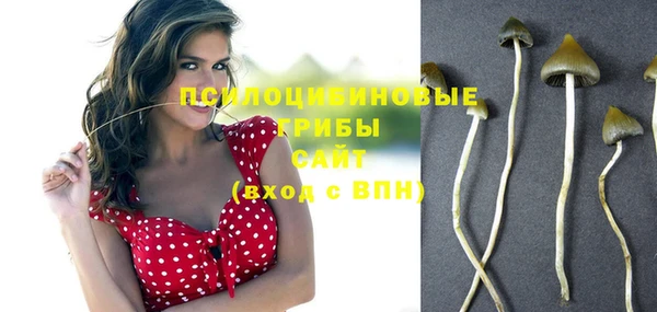 Альфа ПВП Инта