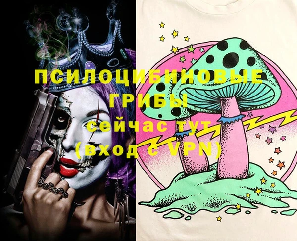COCAINE Инсар
