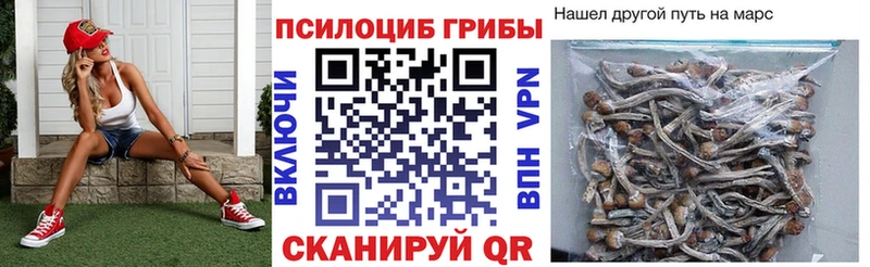 Купить  Туран  Псилоцибиновые грибы мухоморы 